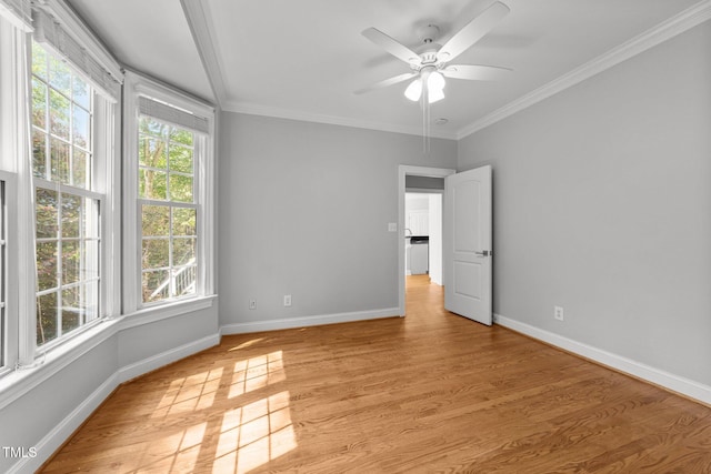7000 Millstone Ridge Ct, Raleigh, NC 27614 - photo 17