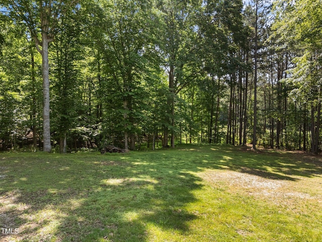 7000 Millstone Ridge Ct, Raleigh, NC 27614 - photo 55