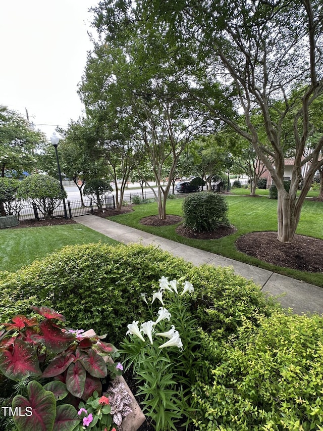 710 N Person St Unit 103, Raleigh, NC 27604 - view of surrounding community