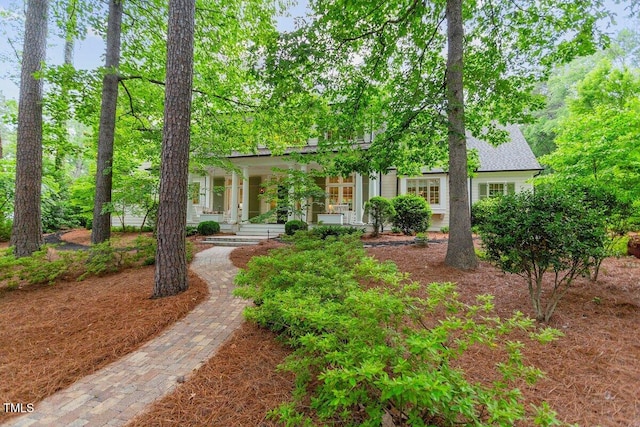 800 Lakestone Dr, Raleigh, NC 27609 - view of property hidden behind natural elements featuring a porch