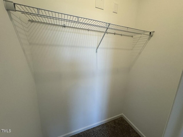 140 Brookhaven Dr, Spring Hope, NC 27882 - spacious closet with dark carpet