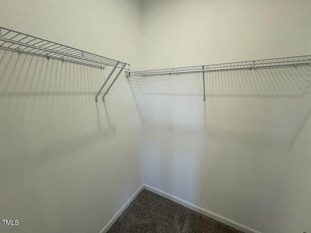 140 Brookhaven Dr, Spring Hope, NC 27882 - spacious closet featuring dark carpet