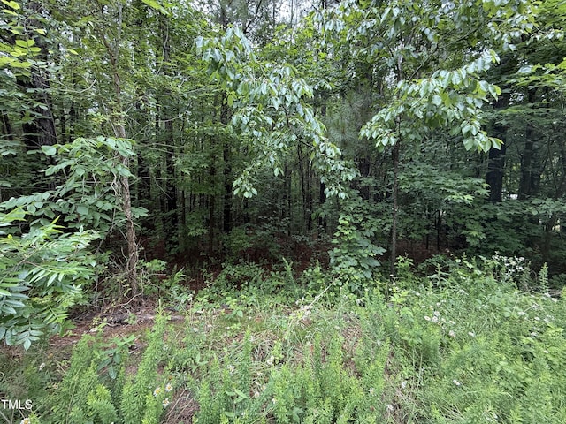 729 Regina Ln, Henderson, NC 27537 - photo 4
