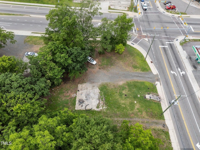 906 Holloway St, Durham, NC 27701 - photo 8