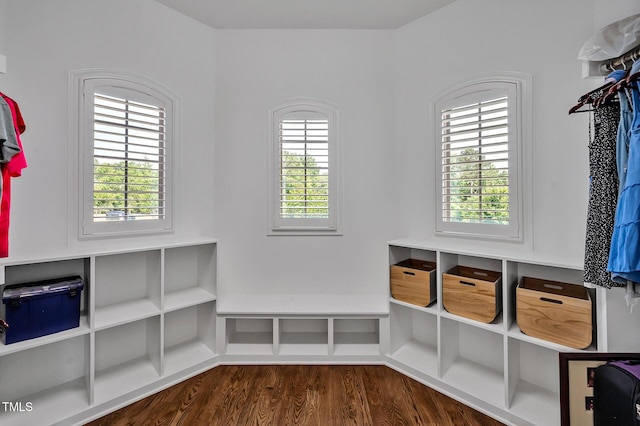 6250 Moinear Ln, Chapel Hill, NC 27514 - mudroom with plenty of natural light and dark wood-style flooring