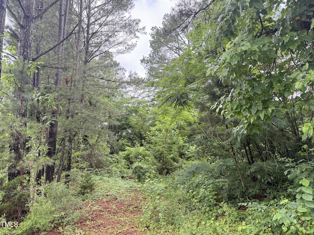 552 Thomas St, Henderson, NC 27537