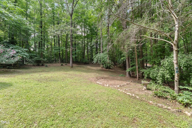 10836 Wilmore Dr, Raleigh, NC 27614 - photo 55