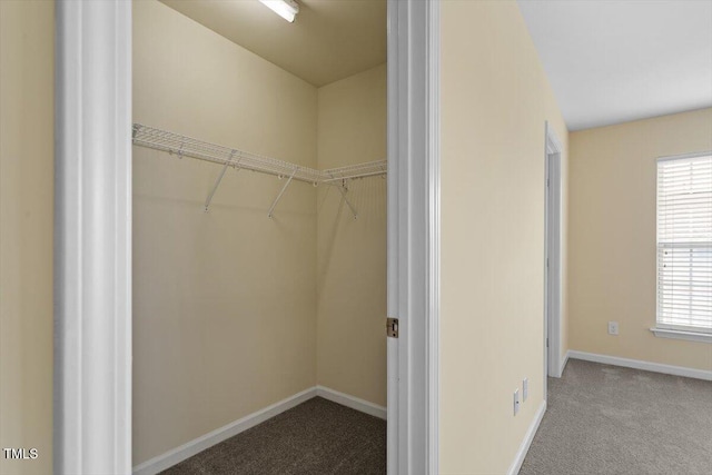 229 Michigan Ave, Cary, NC 27519 - view of closet