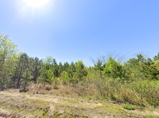 0 Brisson Rd, Saint Pauls, NC 28384