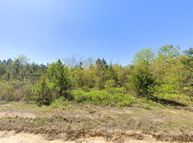0 Brisson Rd, Saint Pauls, NC 28384
