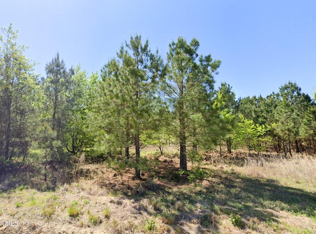 0 Brisson Rd, Saint Pauls, NC 28384