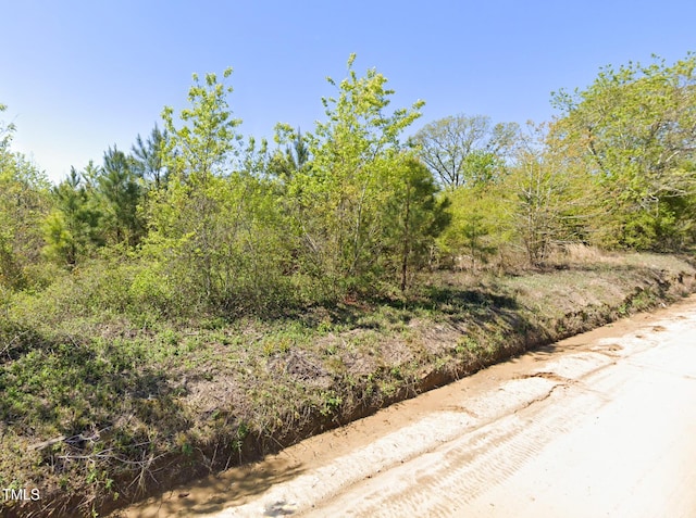 0 Brisson Rd, Saint Pauls, NC 28384