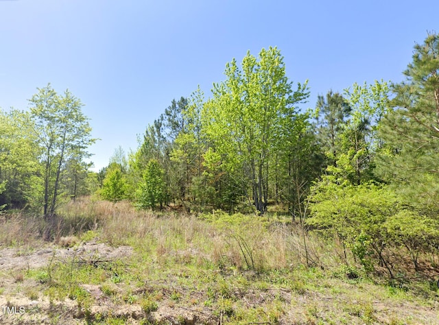 0 Brisson Rd, Saint Pauls, NC 28384