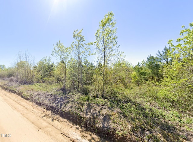 0 Brisson Rd, Saint Pauls, NC 28384