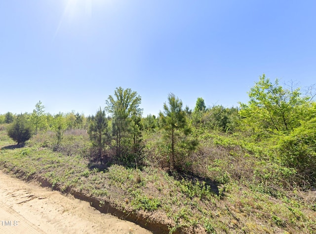 0 Brisson Rd, Saint Pauls, NC 28384