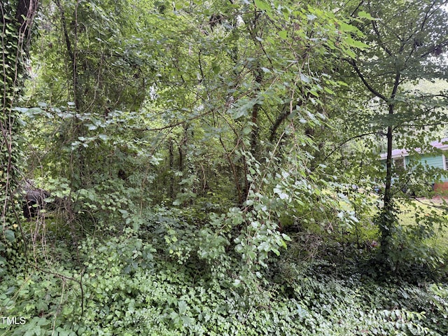 00 Thomas St, Henderson, NC 27536