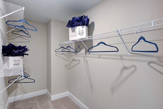 2512 Stonington Dr, Cary, NC 27523 - walk in closet featuring carpet flooring