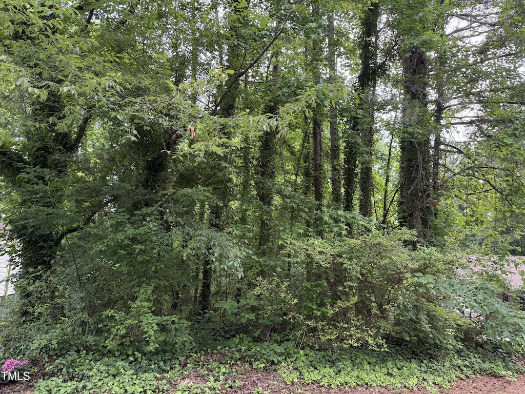 00 High St, Henderson, NC 27536 - photo 1