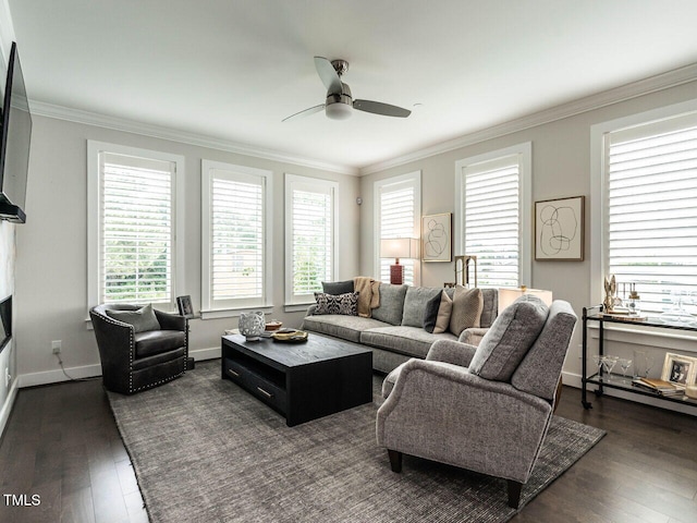 1610 Draper View Loop Unit 101, Raleigh, NC 27608 - living area featuring a ceiling fan, crown molding, and dark wood-type flooring
