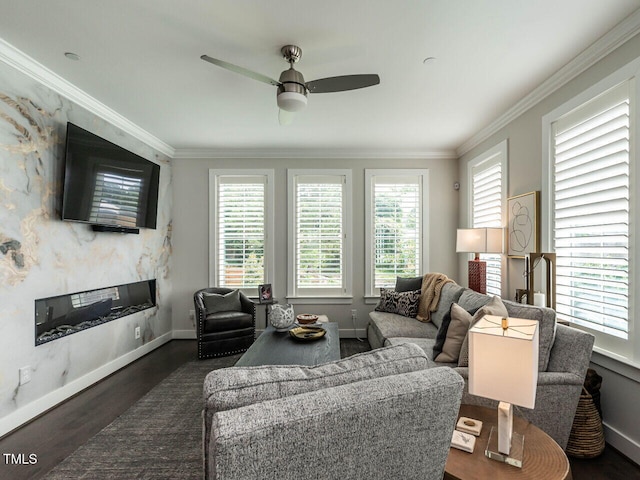 1610 Draper View Loop Unit 101, Raleigh, NC 27608 - living room featuring a high end fireplace, a ceiling fan, dark wood finished floors, and crown molding