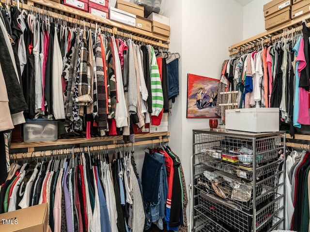 1610 Draper View Loop Unit 101, Raleigh, NC 27608 - view of walk in closet