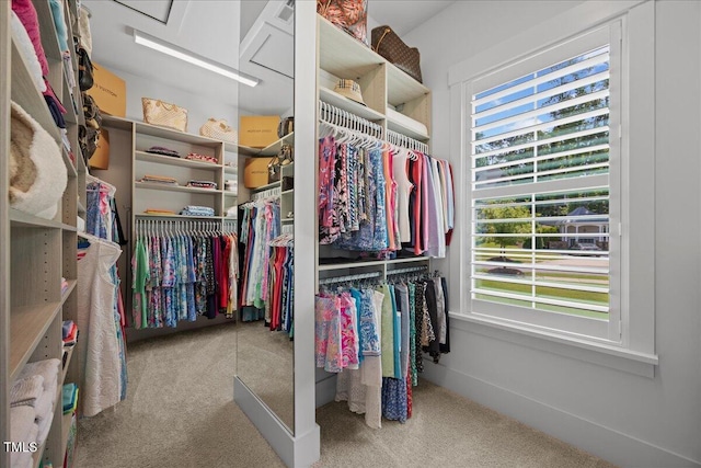 111 Stone Park Dr, Wake Forest, NC 27587 - walk in closet with carpet