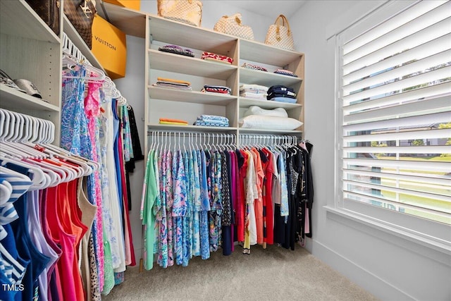 111 Stone Park Dr, Wake Forest, NC 27587 - walk in closet featuring carpet