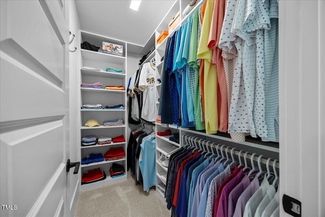 111 Stone Park Dr, Wake Forest, NC 27587 - spacious closet with carpet flooring