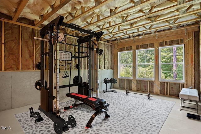 111 Stone Park Dr, Wake Forest, NC 27587 - view of workout room