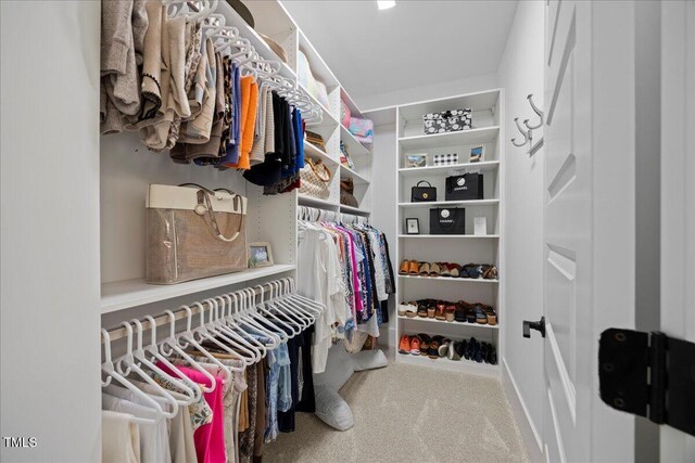 111 Stone Park Dr, Wake Forest, NC 27587 - spacious closet featuring carpet floors