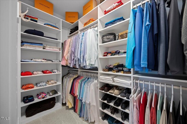 111 Stone Park Dr, Wake Forest, NC 27587 - walk in closet featuring carpet flooring