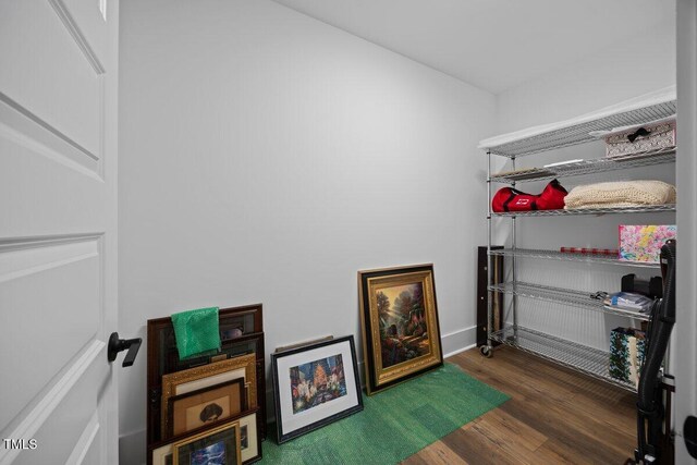 111 Stone Park Dr, Wake Forest, NC 27587 - view of storage area
