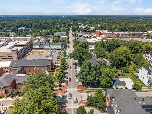 1017 Frank Page Dr, Cary, NC 27511 - bird's eye view of a forest
