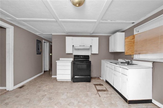6200 Arabia Rd, Lumber Bridge, NC 28357 - kitchen featuring black electric range, under cabinet range hood, a sink, white cabinetry, and light countertops