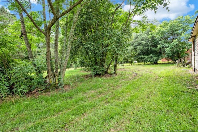 6200 Arabia Rd, Lumber Bridge, NC 28357 - view of green lawn