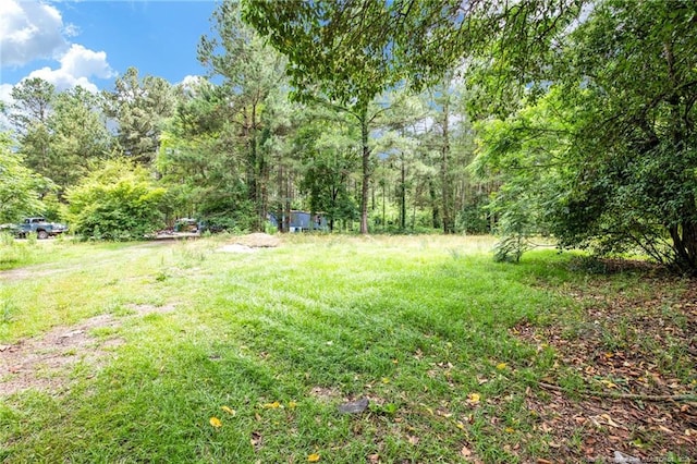 6200 Arabia Rd, Lumber Bridge, NC 28357 - view of yard featuring a wooded view