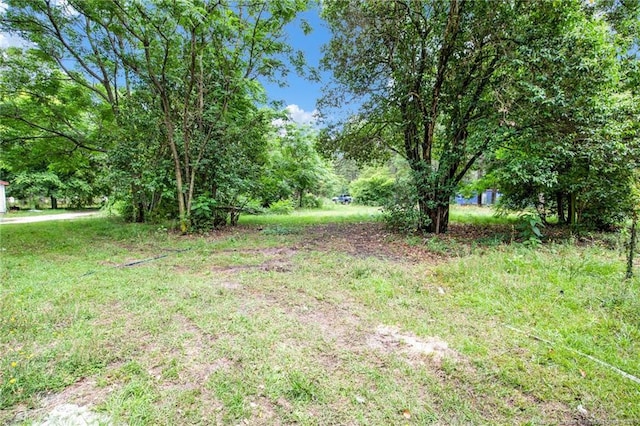 6200 Arabia Rd, Lumber Bridge, NC 28357 - view of yard