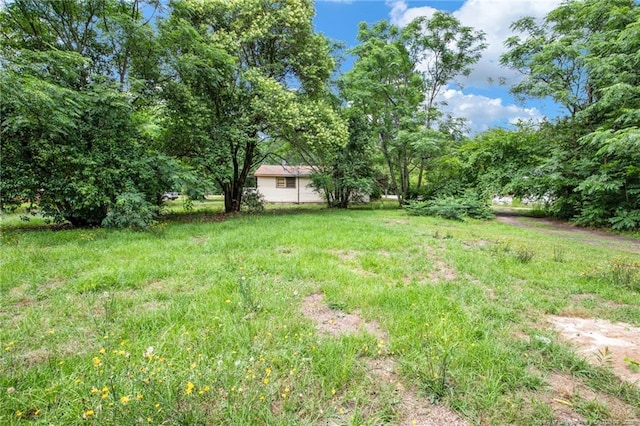 6200 Arabia Rd, Lumber Bridge, NC 28357 - view of yard