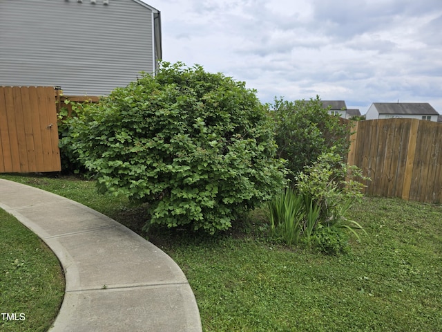 2511 Dalmahoy Ln, Fuquay Varina, NC 27526 - view of yard