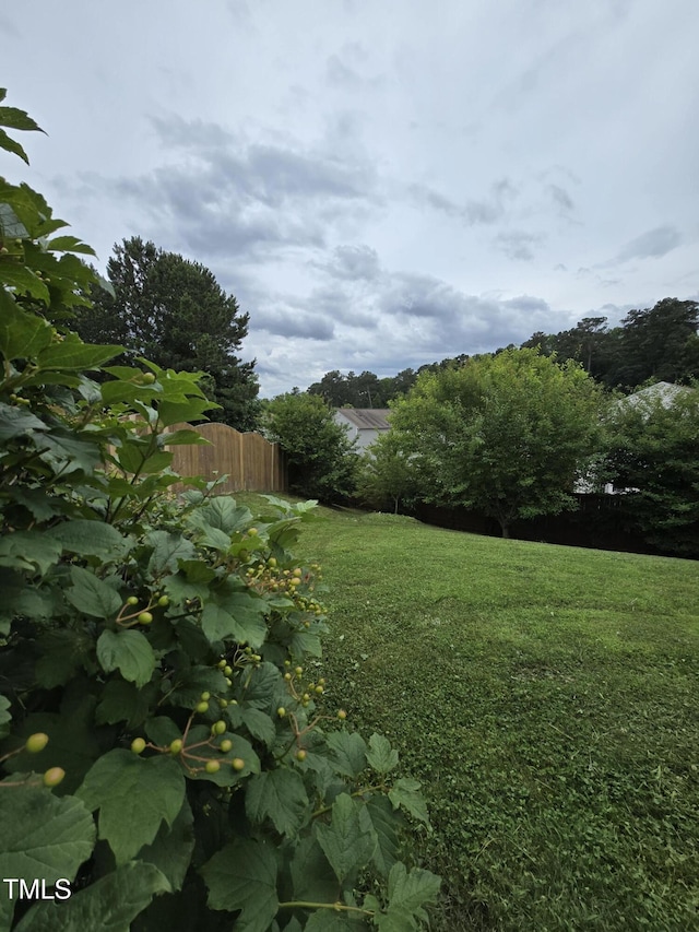 2511 Dalmahoy Ln, Fuquay Varina, NC 27526 - view of yard