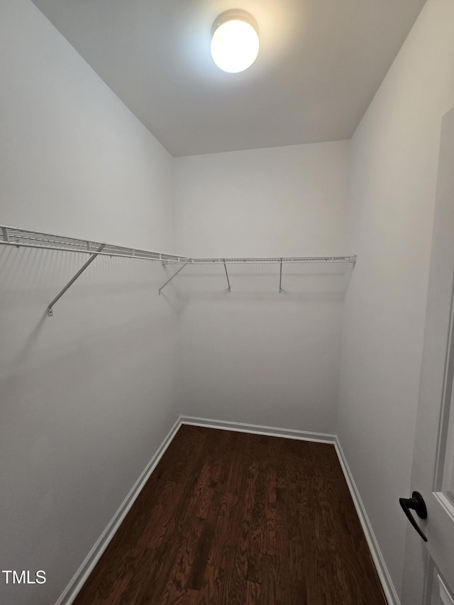 2511 Dalmahoy Ln, Fuquay Varina, NC 27526 - walk in closet with dark wood-style floors