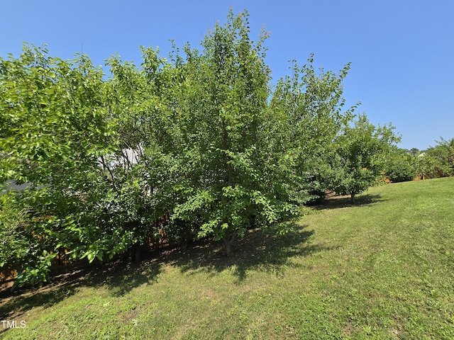 2511 Dalmahoy Ln, Fuquay Varina, NC 27526 - view of green lawn