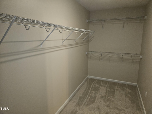 112 Briarfield Dr, Apex, NC 27502 - walk in closet featuring carpet