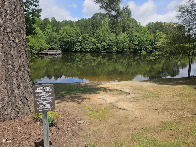 112 Briarfield Dr, Apex, NC 27502 - water view