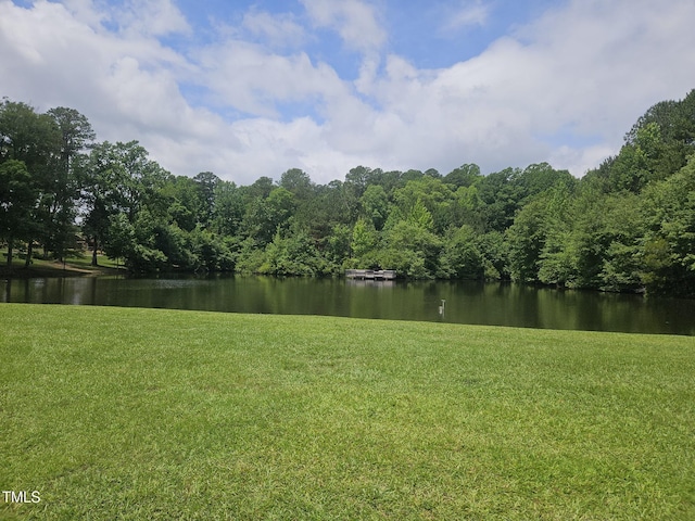 112 Briarfield Dr, Apex, NC 27502 - water view