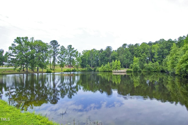112 Briarfield Dr, Apex, NC 27502 - water view