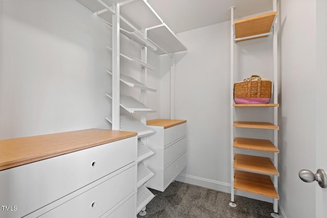 1612 Old Bramble Ln, Fuquay Varina, NC 27526 - spacious closet with dark carpet