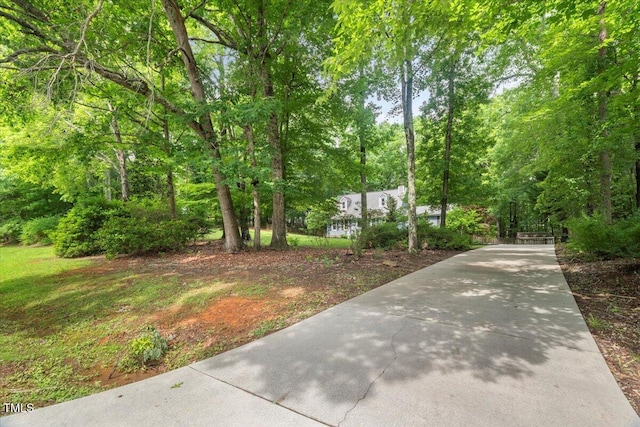 1205 Elysian Way, Rougemont, NC 27572 - photo 38