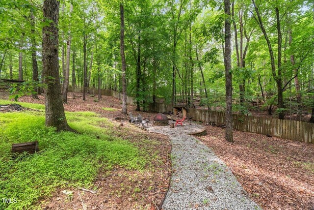 1205 Elysian Way, Rougemont, NC 27572 - photo 34