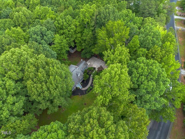 1205 Elysian Way, Rougemont, NC 27572 - photo 45